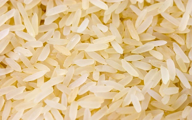 rice-ga2423be06_640