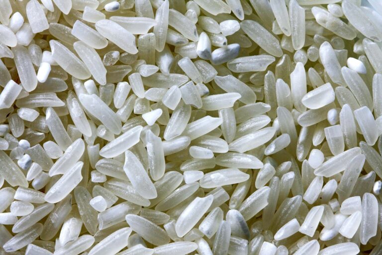 rice-ga31d5f650_1920