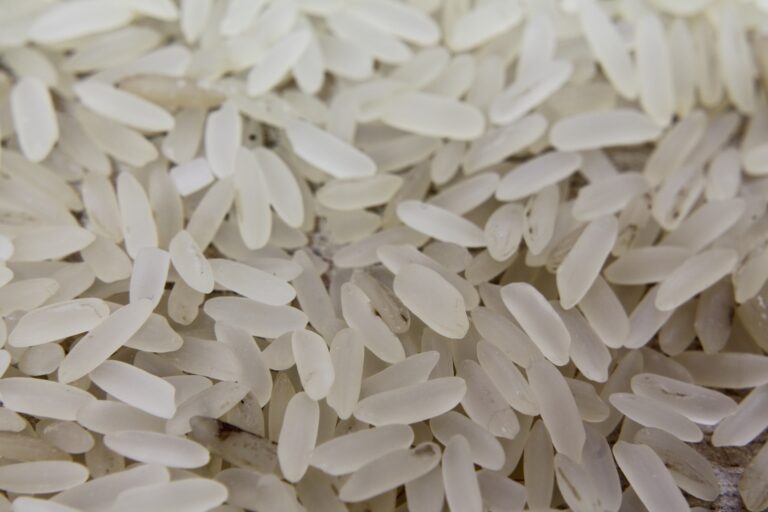 rice-gb255f5072_1920