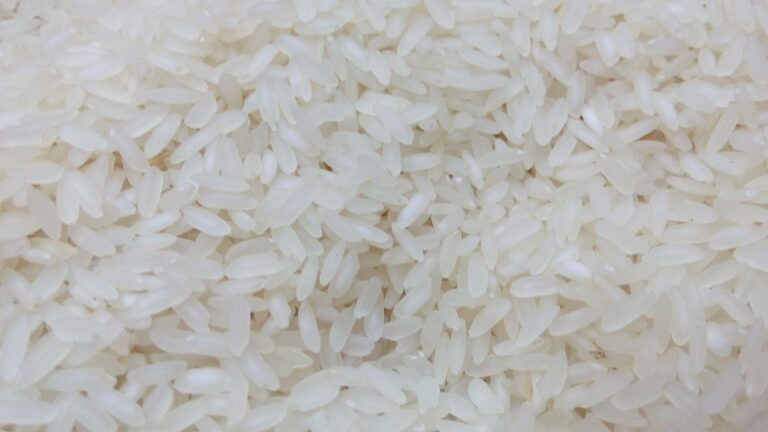 rice-gc76b4f969_1920